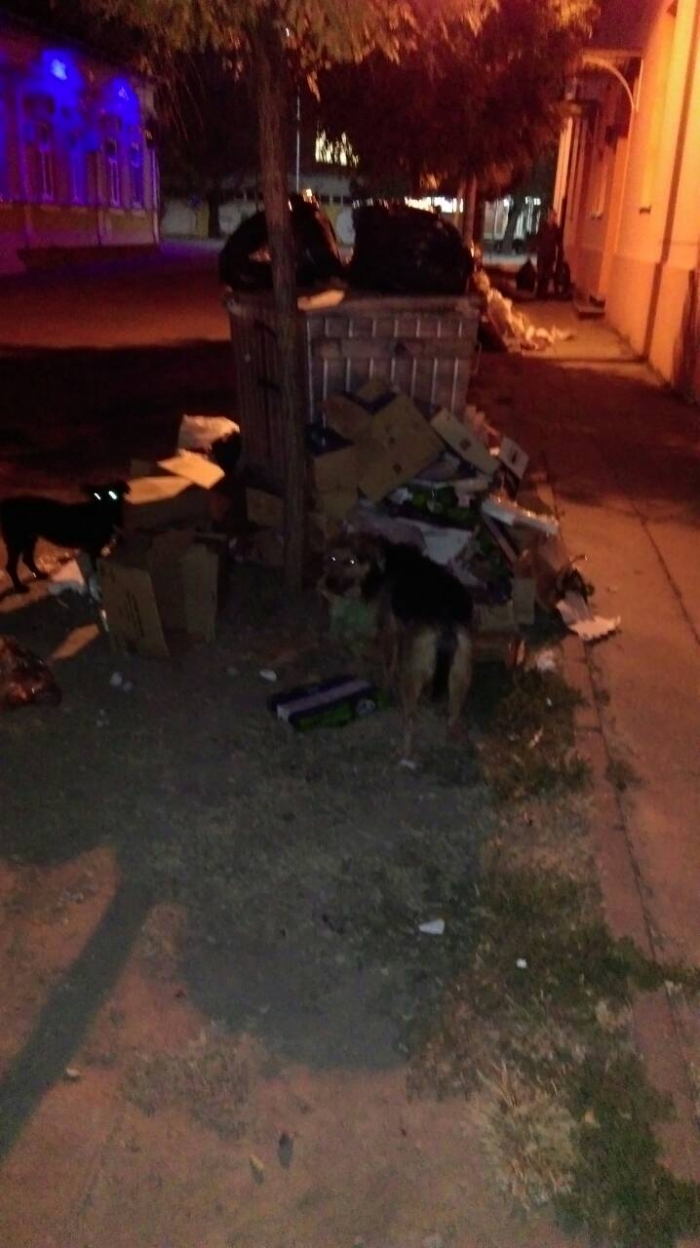 Srbobran pred kontramiting