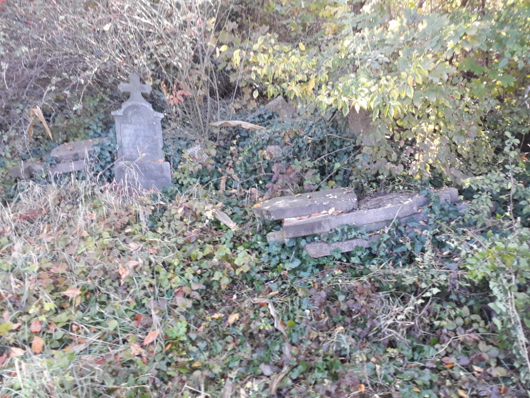 Sramota obuzela tugu