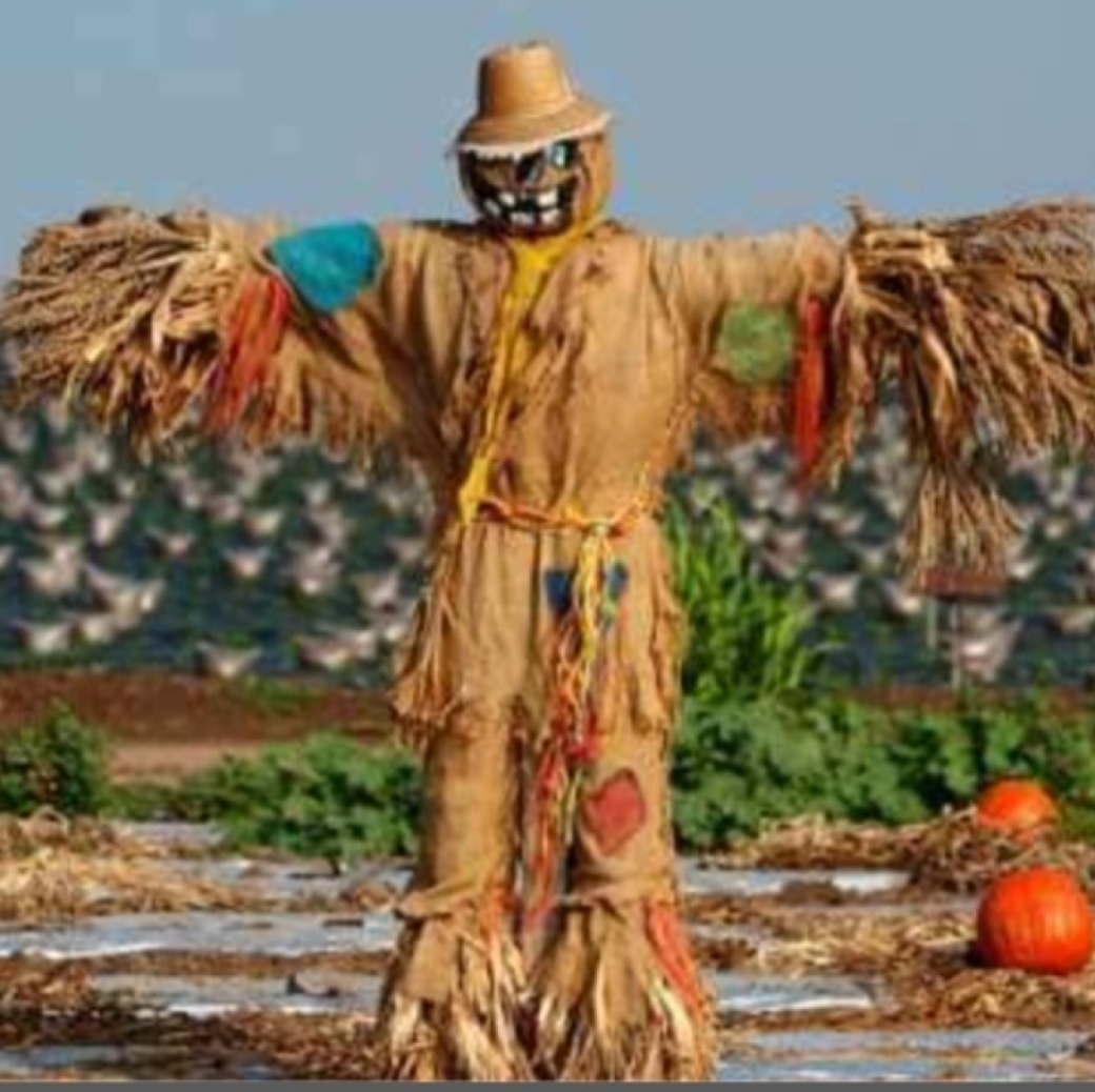 Biti ili ne biti, pitanje je sad