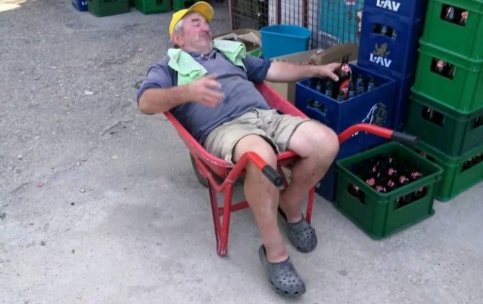 Drvoseča iz Aleje velikana